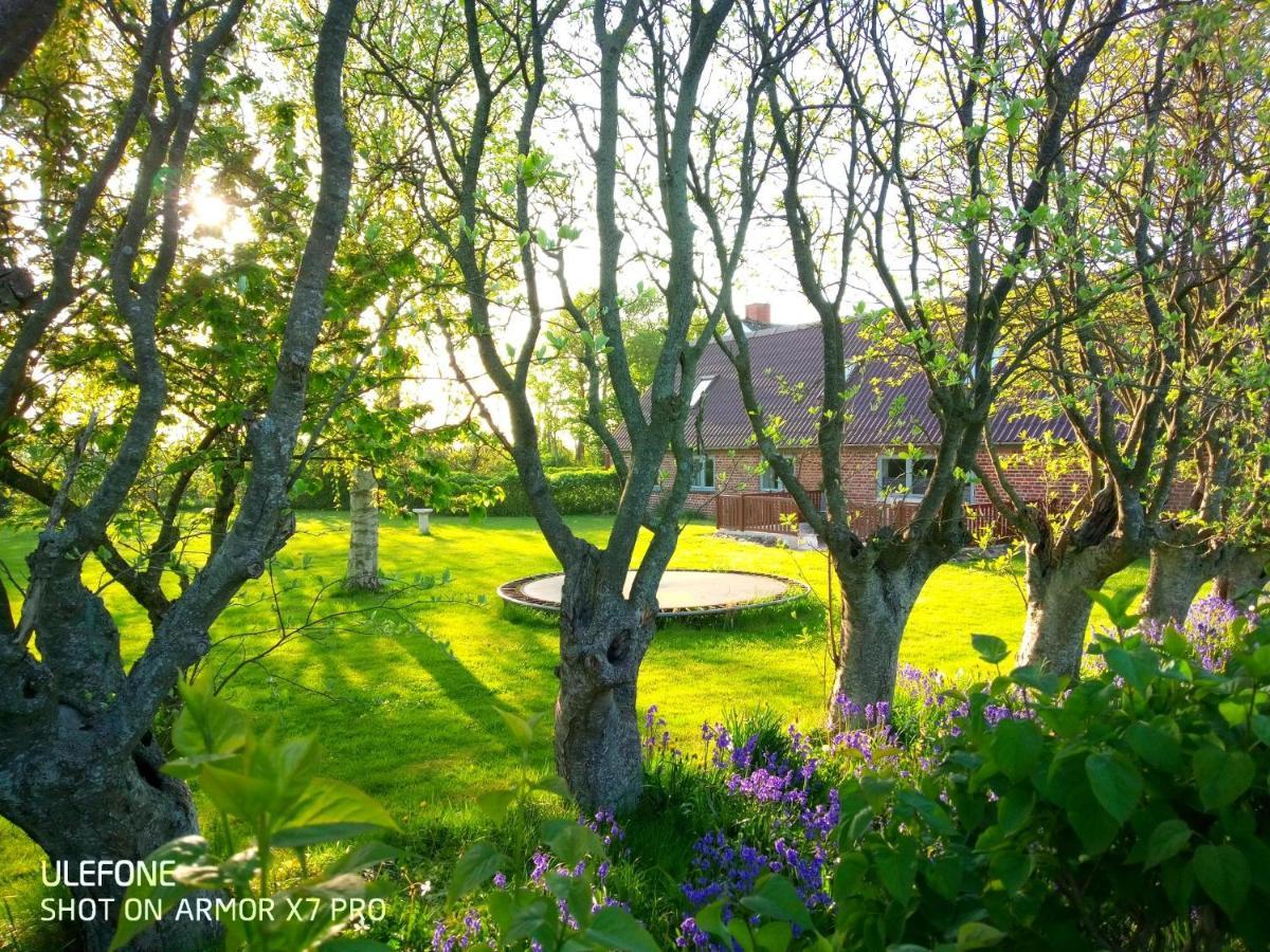 Lilleledgaard Country House Ringkøbing Kültér fotó