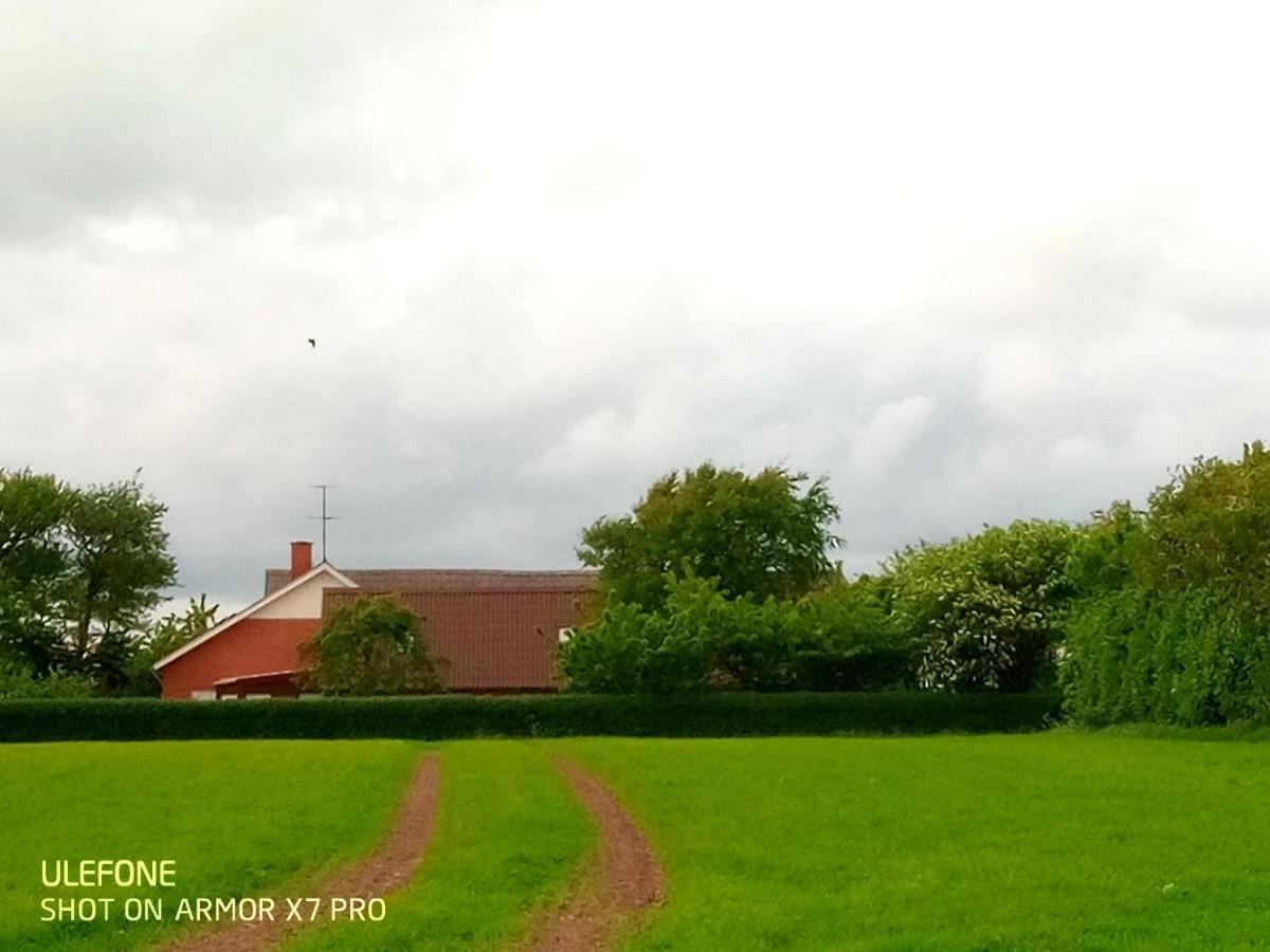 Lilleledgaard Country House Ringkøbing Kültér fotó